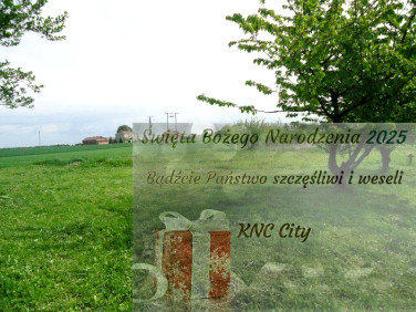 Działka rolna Pawlin