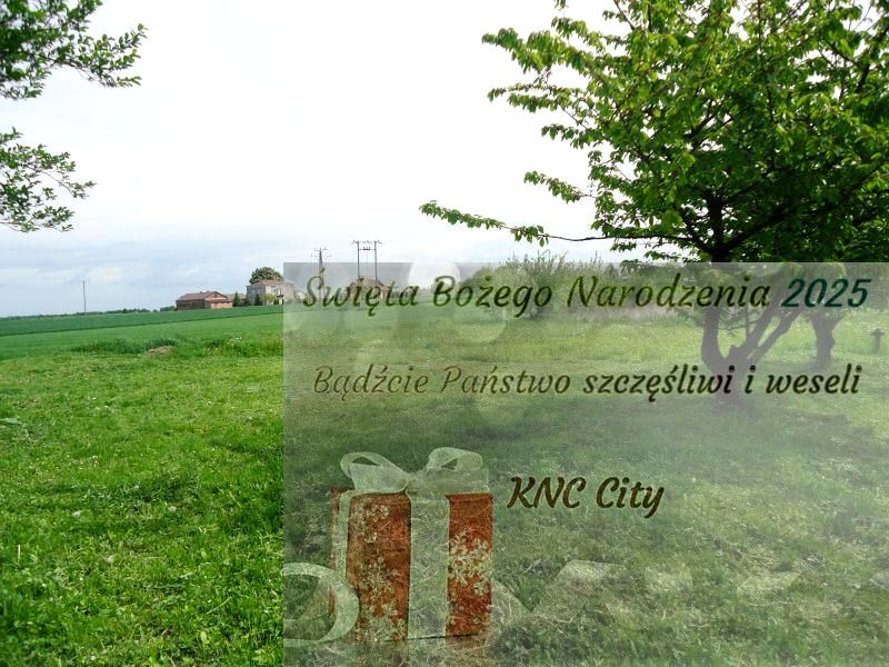 Działka rolna Pawlin