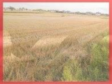 Działka budowlana Lublin sprzedam