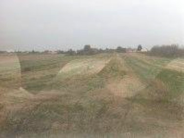 Działka budowlana Wola Przybysławska sprzedam