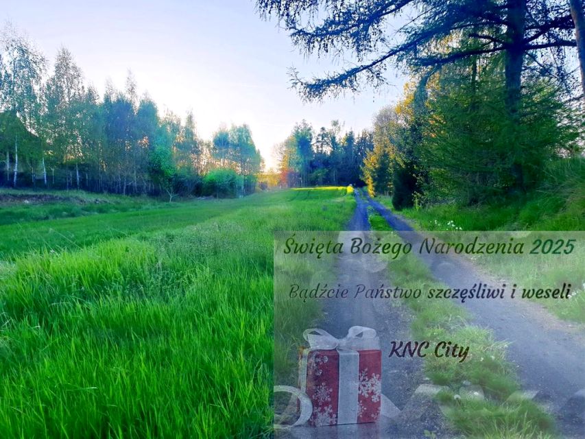 Działka Zemborzyce Podleśne