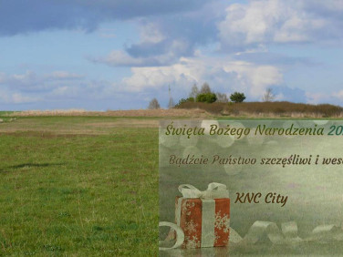 Działka rolna Przytoczno