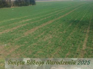 Działka rolna Jakubowice Konińskie