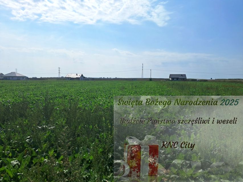 Działka Turowola-Kolonia