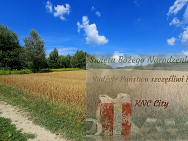 Działka Karczmiska Drugie