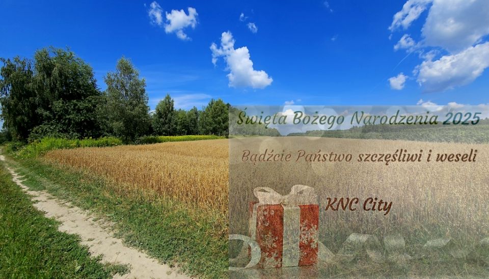 Działka Karczmiska Drugie