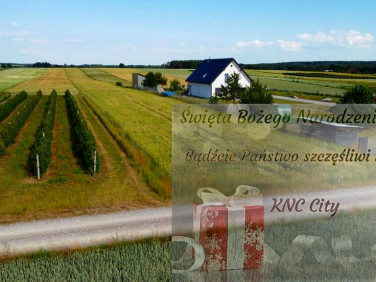 Działka Borów-Kolonia