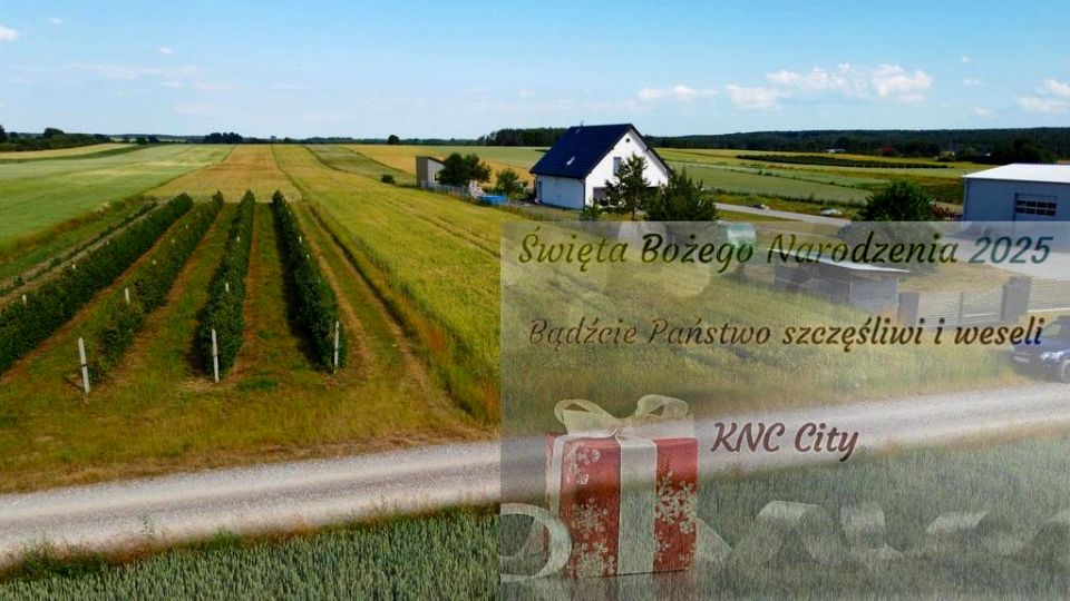 Działka Borów-Kolonia