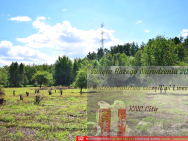 Działka rolna Pliszczyn