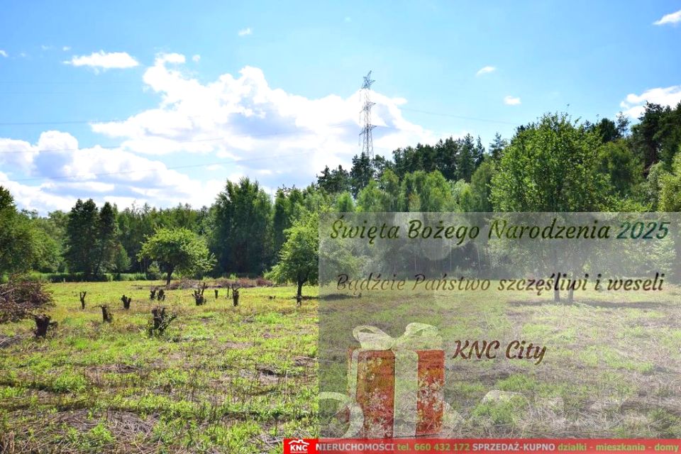 Działka rolna Pliszczyn