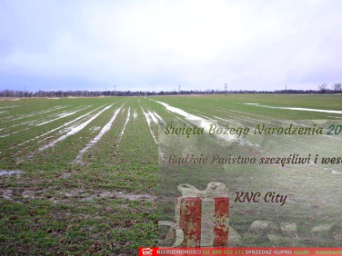 Działka budowlana Wierciszów