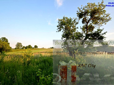 Działka Nałęczów