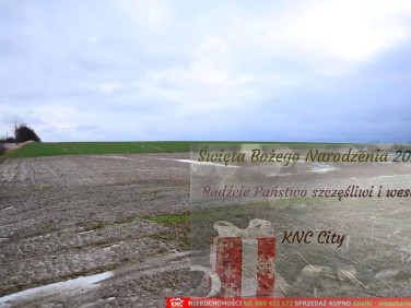 Działka budowlana Wierciszów