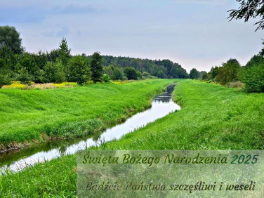 Działka rolna Dąbrowa