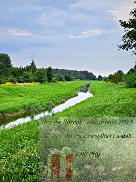 Działka rolna Dąbrowa