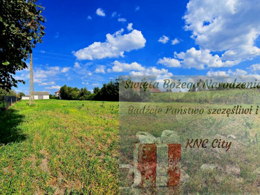 Działka nad jeziorem