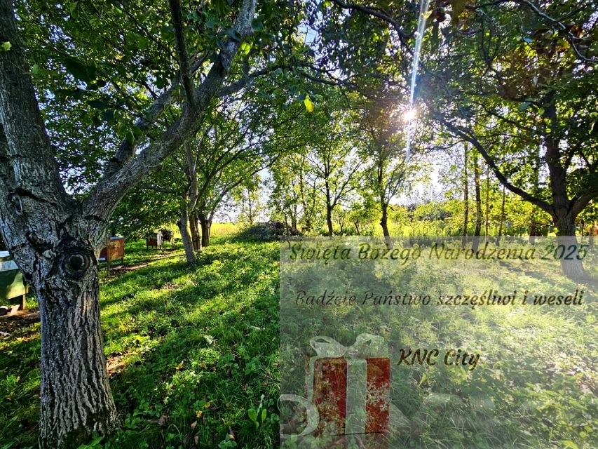 Działka rolna Smugi sprzedam