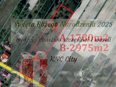 Działka budowlano-rolna Wola Mieczysławska