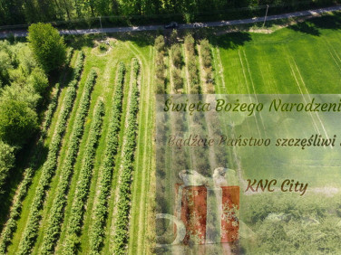 Działka Kamień-Kolonia