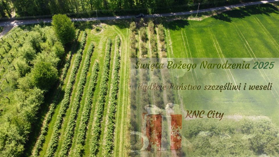 Działka Kamień-Kolonia