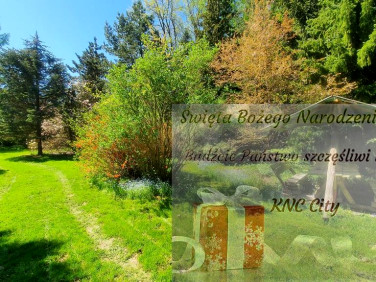 Działka Zemborzyce Tereszyńskie