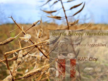 Działka Nałęczów