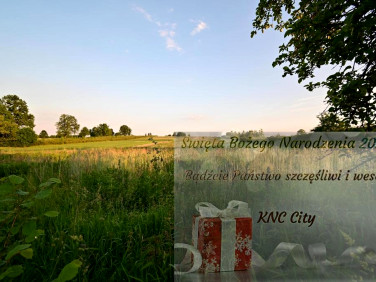 Działka Panieńszczyzna