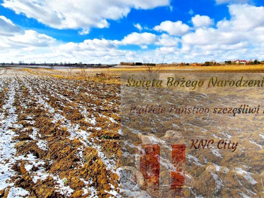 Działka Płouszowice-Kolonia