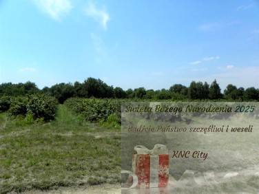 Działka budowlana Głusk