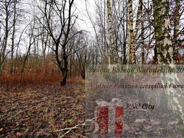 Działka Kazimierz Dolny