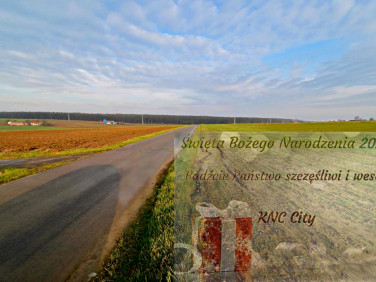 Działka Zemborzyce Podleśne