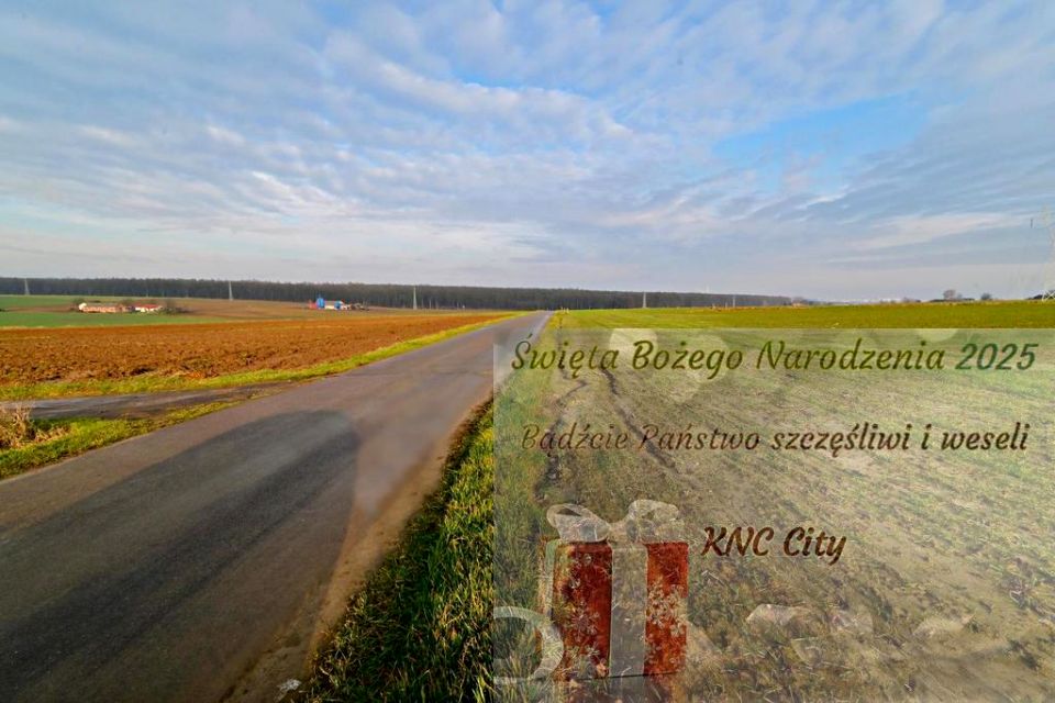 Działka Zemborzyce Podleśne