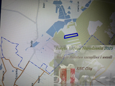 Działka leśna Brody