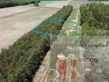 Działka Wólka Gonciarska