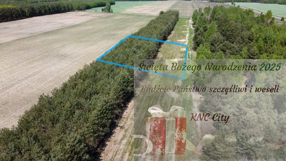 Działka Wólka Gonciarska