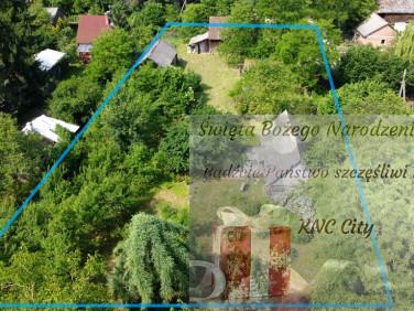 Dom Kaliszany-Kolonia