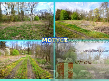 Działka rolna Motycz