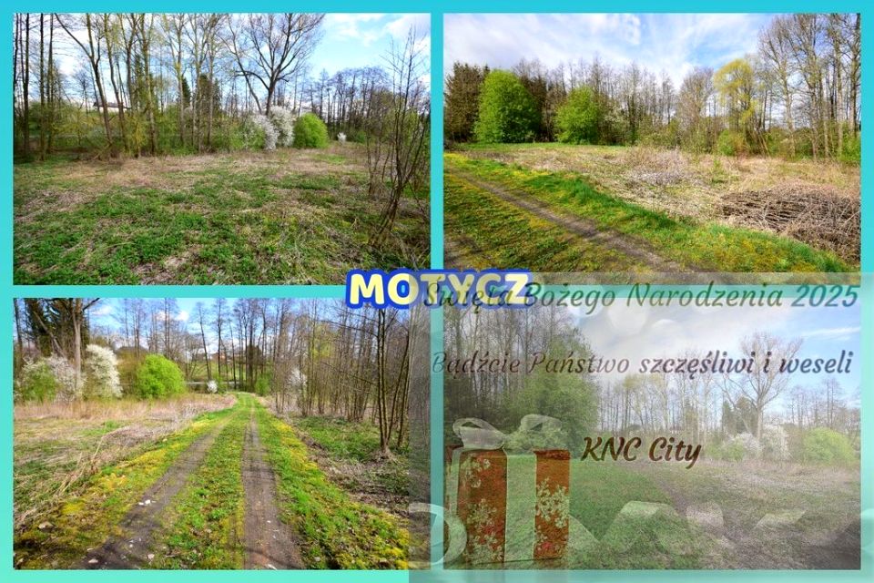 Działka rolna Motycz