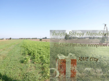 Działka Rudka Gołębska