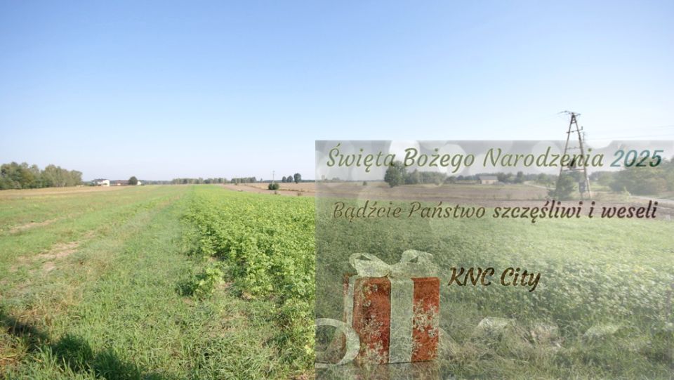 Działka Rudka Gołębska