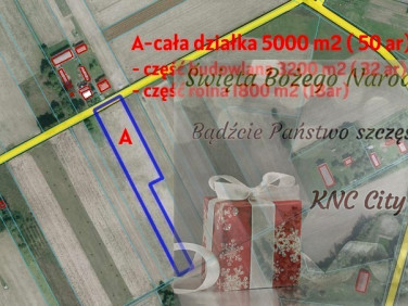 Działka Brzostówka