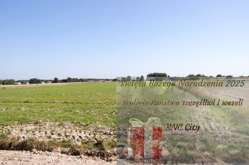 Działka rekreacyjna Krasne