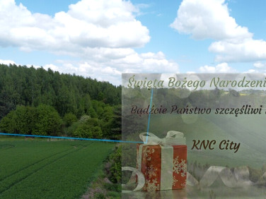 Działka rolna Chruszczów-Kolonia