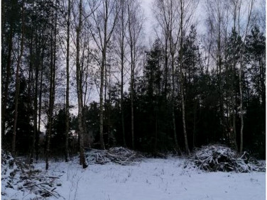 Działka budowlana Teresin