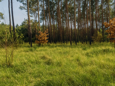 Działka budowlana Zielona Góra