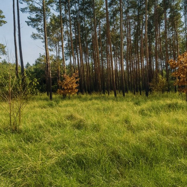 Działka budowlana Zielona Góra