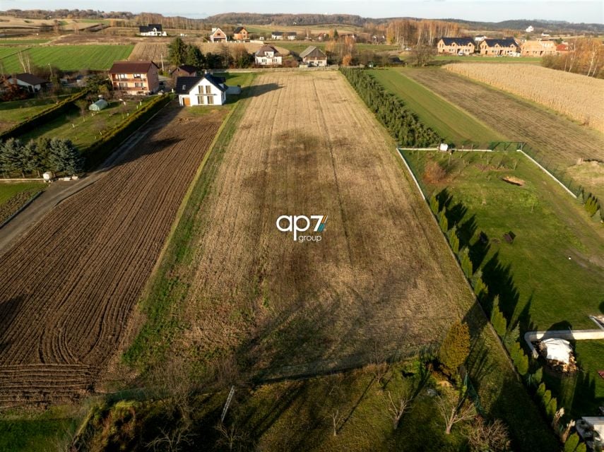 Zdjęcie 3