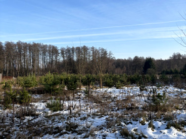 Działka budowlana Kątne