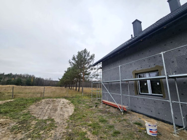 Dom wolnostojący sprzedaż