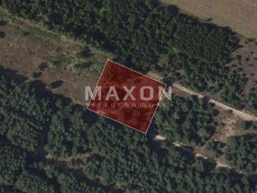 Działka leśna Kępiaste